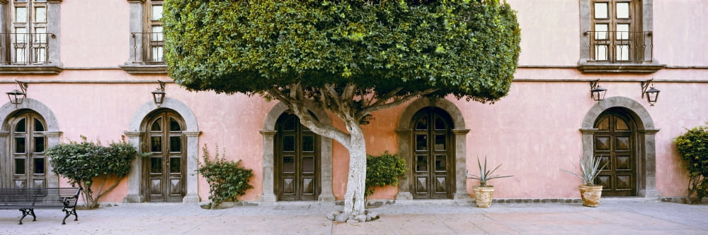Tree In front of the Posada de las Flores Hotel Loreto Baja California Sur Mexico Canvas Art - Panoramic Images (36 x 12)