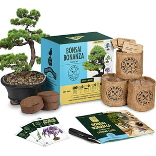 Bonsai Starter Kit - Gardening Gifts for Women & Men - Unique DIY Hobbies, Crafts Hobby Kits for Adults - Unusual Christmas Gift Ideas for Garden