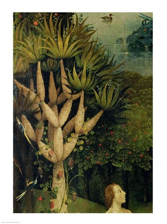 The Tree of the Knowledge of Good and Evil detail from the right panel of The Garden of Earthly Delights c1500 Canvas Art - Hieronymus Bosch (18 x 24)