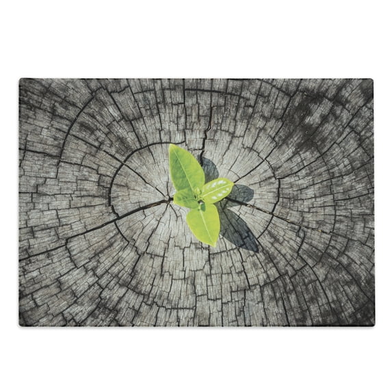 Tree of Life Cutting Board, Dried Earth with Last Bush Saving Planet Symbolic Image Hope Nature Home, Decorative Tempered Glass Cutting and Serving Board, Large Size, Brown Green, by Ambesonne