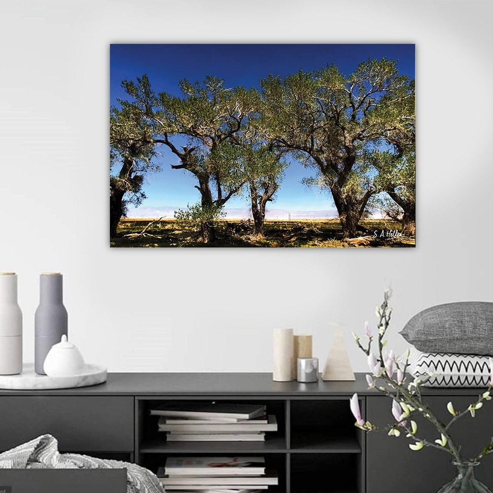 Tree Line by photographer Steven A. Heller - 14"x14" Canvas Artwork - Multi-Color 16 x 20