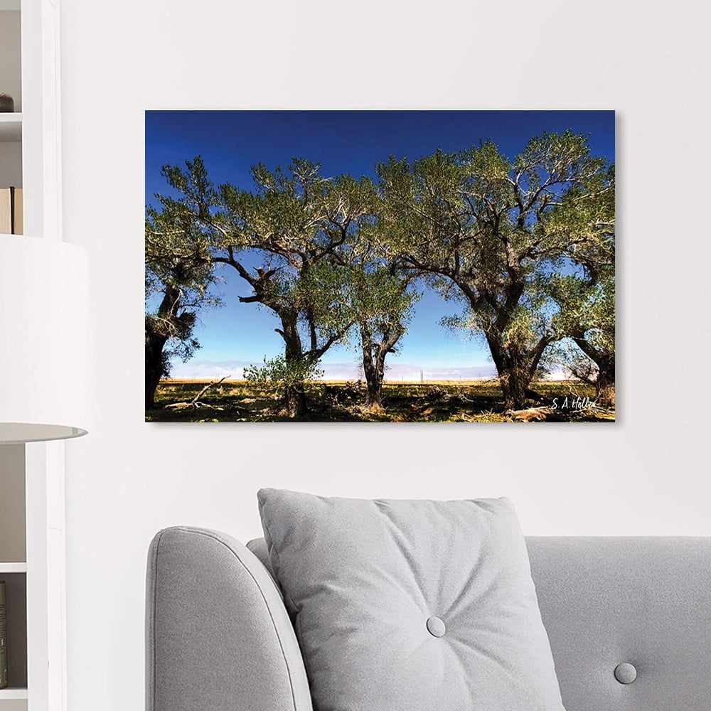 Tree Line by photographer Steven A. Heller - 14"x14" Canvas Artwork - Multi-Color 20 x 30