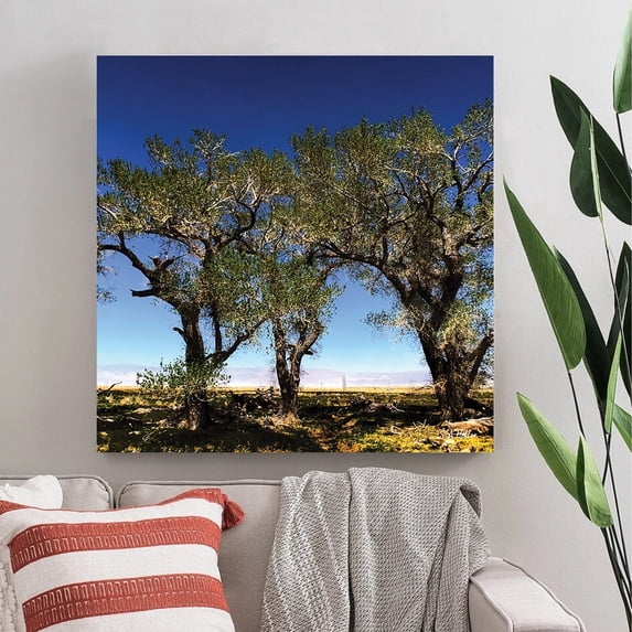 Tree Line by photographer Steven A. Heller - 14"x14" Canvas Artwork - Multi-Color 30 x 30