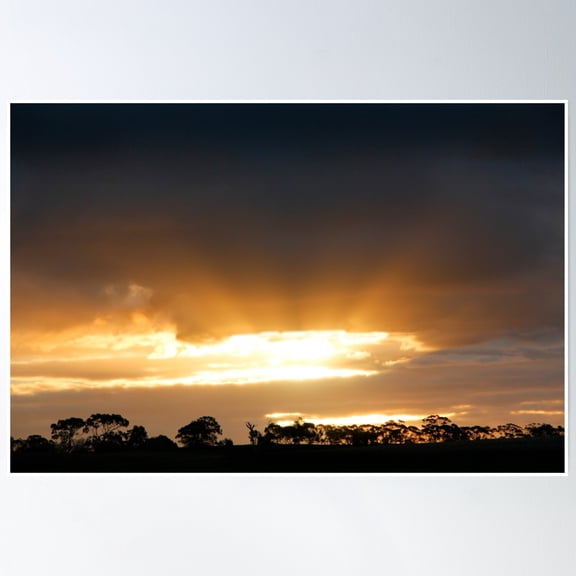 Tree Line Silhouette Poster Wall Art, Modern Wall Decor, 8x12 UNFRAMED