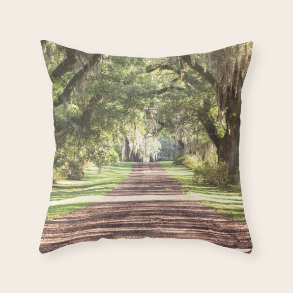 Tree-Lined Path with Hanging Moss, Velvet Throw Pillow Cover for Living Room, No Insert