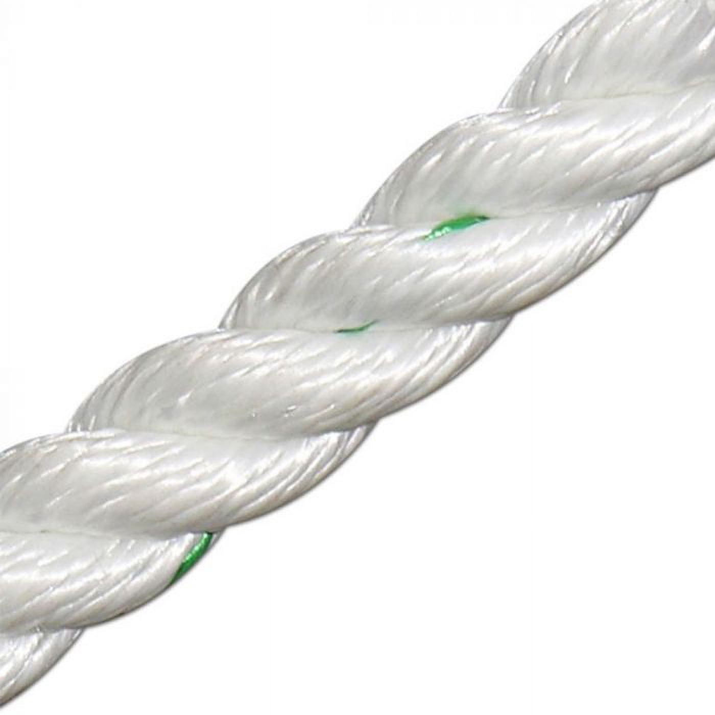 Tree-Master 3-Strand Rope (1/2