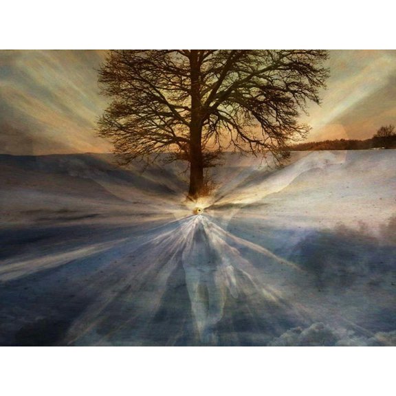 Tree Of Truth - CANVAS OR WALL ART PRINT