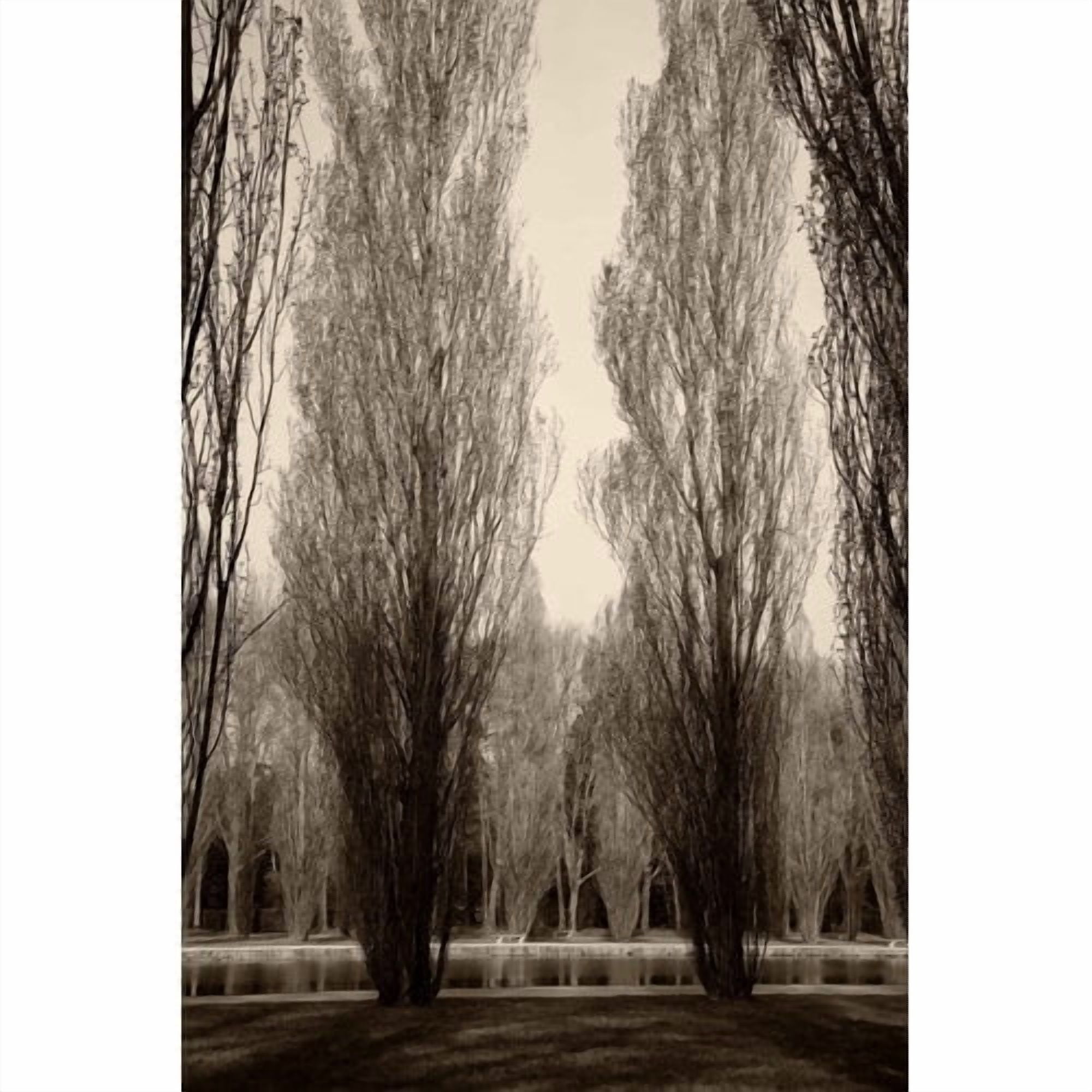 "Tree Pair" Painting Print on Wrapped Canvas