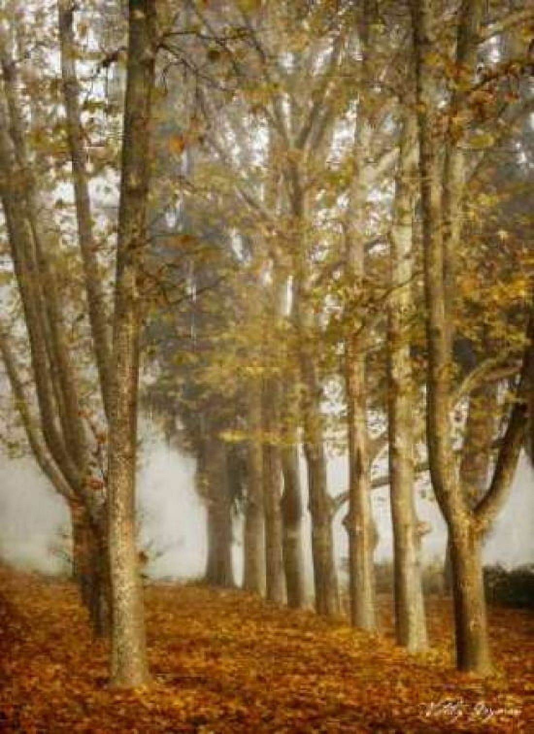 Tree Parade Canvas Art - Vitaly Geyman (18 x 24)