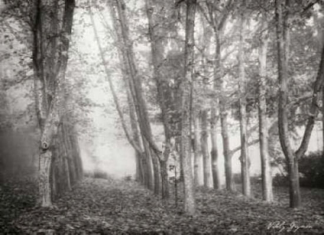 Tree Parade I BandW Canvas Art - Vitaly Geyman (18 x 24)