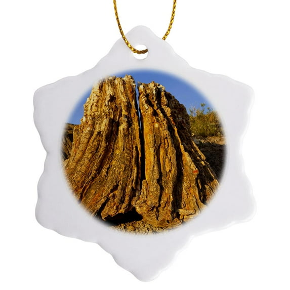 3drose, Tree, Petrified Forest Wilderness, North Dakota - Us35 Cha0195 - Chuck Haney, 3 inch Snowflake Porcelain Ornament