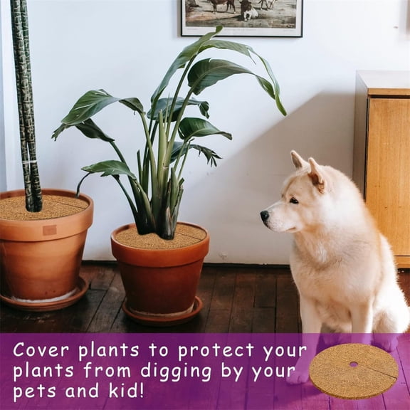 Tree Protector Mats Pot Soil Cover Discs 11.8 Inch Natural Coconut Coir Mulch Rings for Indoor/Outdoor Plants, Weed Control, Pet Digging Protection & Garden Landscaping Use
