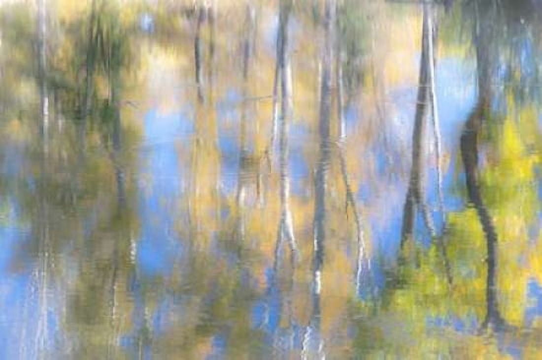 Tree Reflections I Canvas Art - Kathy Mahan (12 x 18)