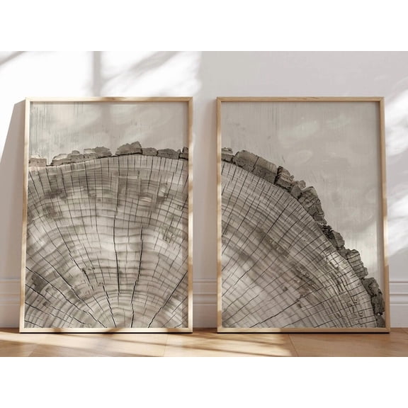 Tree Ring Art Prints Organic Abstract Modern Neutral Home Multiple Sizes Modern Wall Decor Prints Set 2