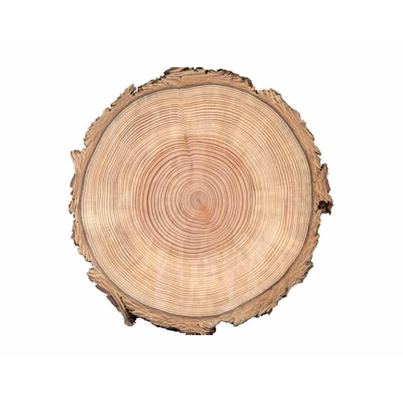 Tree Ring Bark Edible Cake Topper Image ABPID00203V1