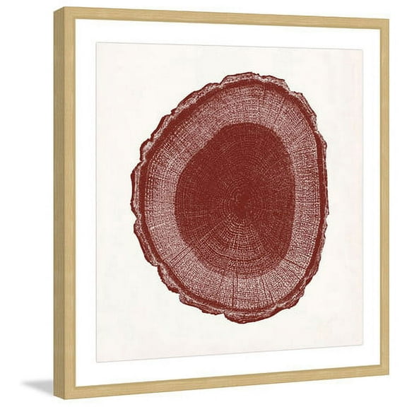 "Tree Ring I" Framed Painting Print