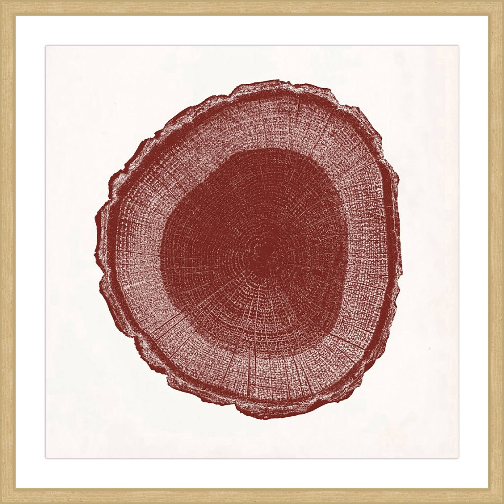 "Tree Ring I" Framed Painting Print