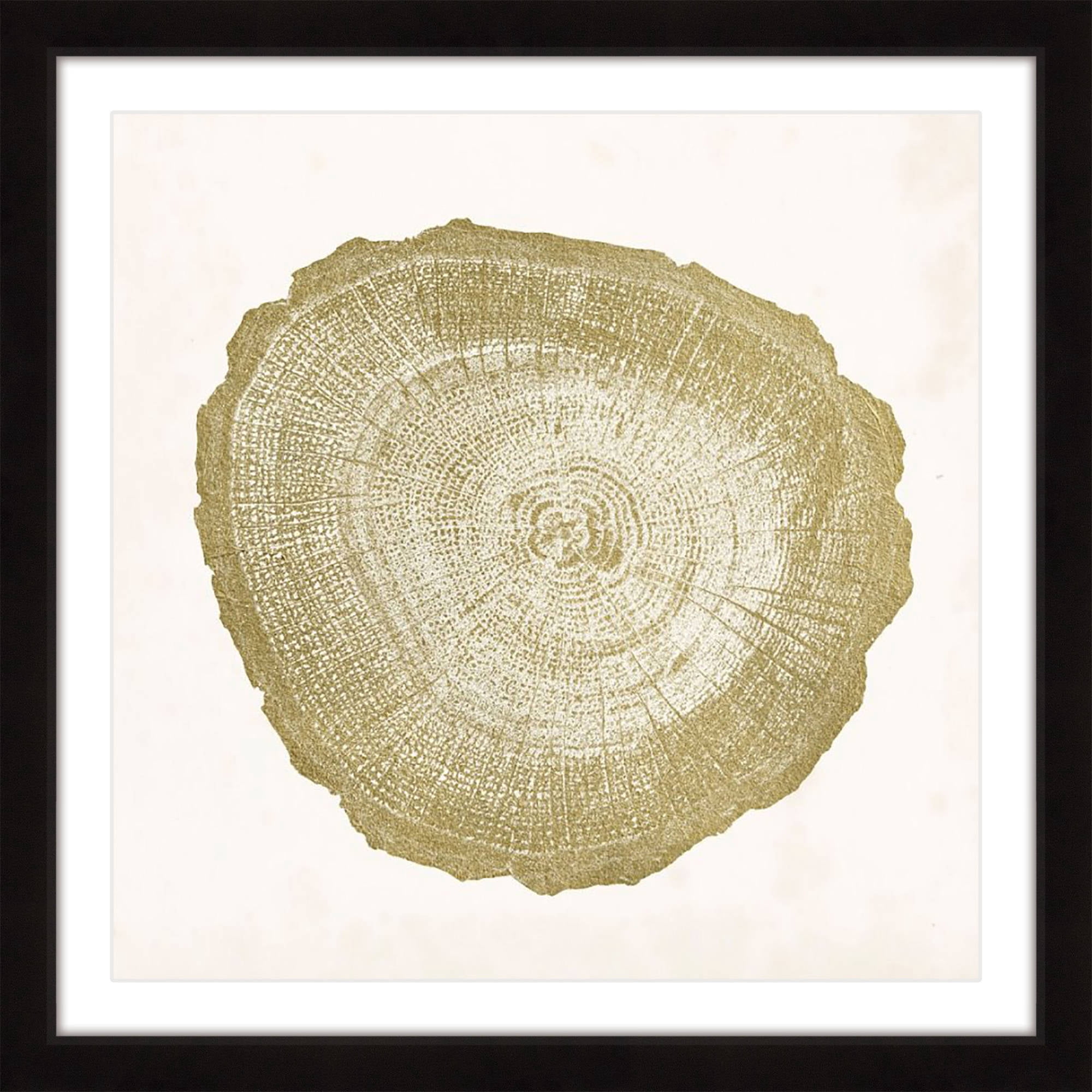 "Tree Ring IV" Framed Painting Print