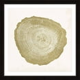thumbnail image 1 of "Tree Ring IV" Framed Painting Print, 1 of 6