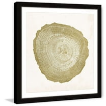 "Tree Ring IV" Framed Painting Print