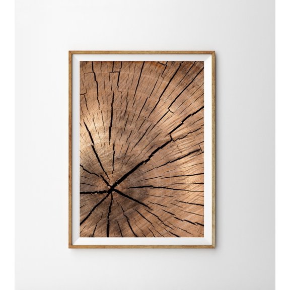 Tree Ring Log Slice Wood Texture Rustic Farmhouse Porch Display V2, Unframed Paper Poster 8x10in