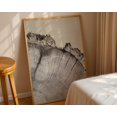 Tree Rings Art Delicate Light Pencil Sketch Wood Cross Section Soft ...