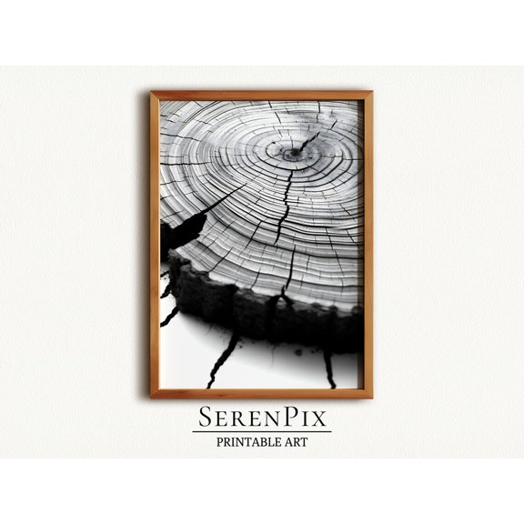 Tree Rings Art Print Tree Rings Wall Art Wood Slice Fall Home Decor Wall Art Home Decor Office Wall Art