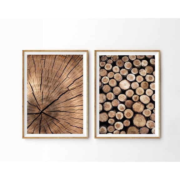 Tree Rings Wood Log Pile Print Set Rustic Farmhouse Wall Art Set 2 Stretched Canvas 16x24