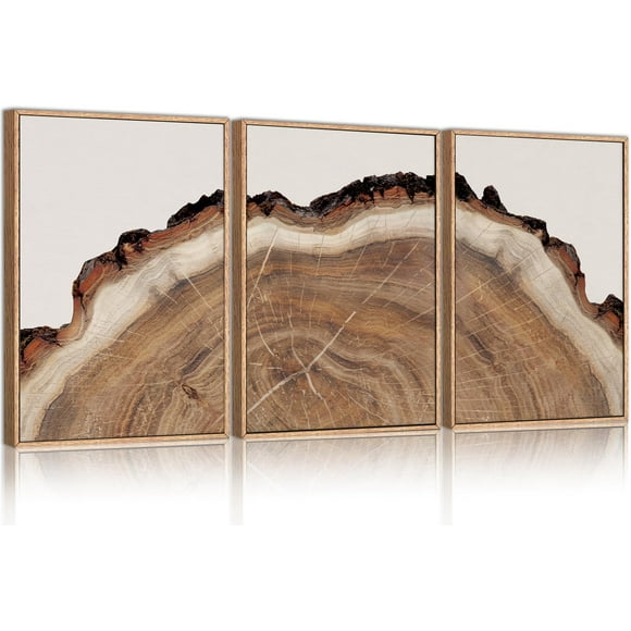 Tree Rings Wood Wall Art Framed Set, Modern Beige Wood Stump Wall Decor, Abstract Tree Spiral Wall Painting,Nature-Inspired Art Print for Living Room, Bedroom, Dining Room, Office-16 x24 x3