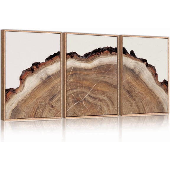Tree Rings Wood Wall Art Framed Set, Modern Beige Wood Stump Wall Decor, Abstract Tree Spiral Wall Painting,Nature-Inspired Art Print for Living Room, Bedroom, Dining Room, Office-16 x24 x3