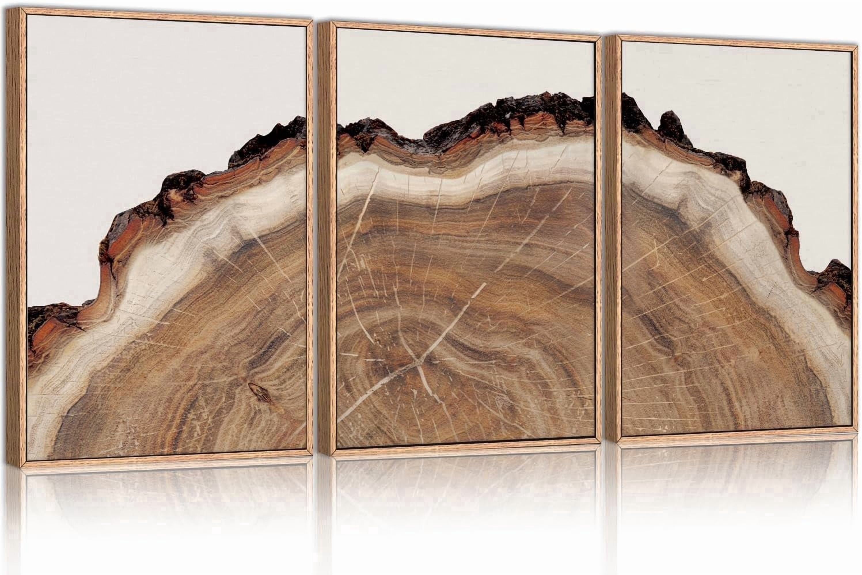 Tree Rings Wood Wall Art Framed Set, Modern Beige Wood Stump Wall Decor, Abstract Tree Spiral Wall Painting,Nature-Inspired Art Print for Living Room, Bedroom, Dining Room, Office-16 x24 x3