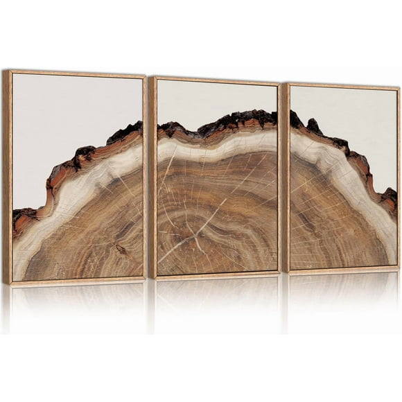 Tree Rings Wood Wall Art Framed Set, Modern Beige Wood Stump Wall Decor, Abstract Tree Spiral Wall Painting,Nature-Inspired Art Print for Living Room, Bedroom, Dining Room, Office-16 x24 x3