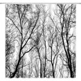 thumbnail image 1 of Tree Shower Curtain Abstract Black White Tree Leafless Trunk Autumn Fall Forest Branch Nature Rustic Vintage Bathroom Decor Fabric Curtain with Hooks, 1 of 4