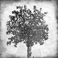 thumbnail image 1 of Tree Silhouette Black and White 2 Poster Print by Kimberly Allen (24 x 24), 1 of 2