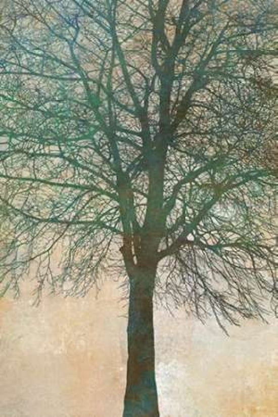 Tree Silhouette II Canvas Art - Cora Niele (12 x 18)