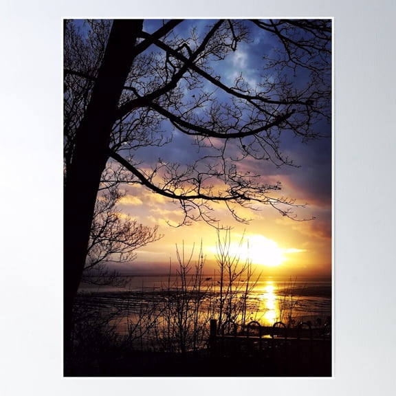 Tree Silhouette Over Dusk Beach -Thames Estuary, England Poster Wall Art, Modern Wall Decor, 12x18 UNFRAMED
