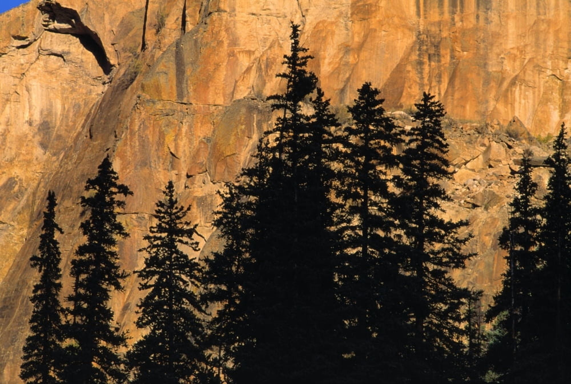 Tree Silhouettes In Front Of Cliff Face Canvas Art - Natural Selection David Ponton Design Pics (18 x 12)