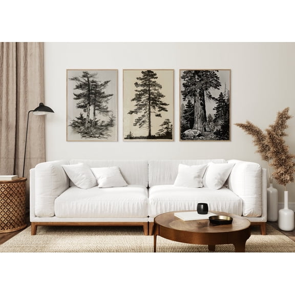 Tree Sketch Drawings Forest Print Botanical Wall Art Farmhouse Nature Trees Decor, Poster Only