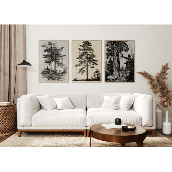 Tree Sketch Drawings Forest Print Botanical Wall Art Farmhouse Nature Trees Decor Set 3 Unframed Paper Print 8x12