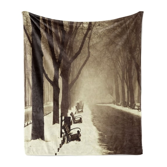 Tree Soft Flannel Fleece Blanket, Old Winter Alley by the Trees in European Town Foggy Day Photo Vintage Faded Effects, Cozy Plush for Indoor and Outdoor Use, 60" x 80", Brown Beige, by Ambesonne
