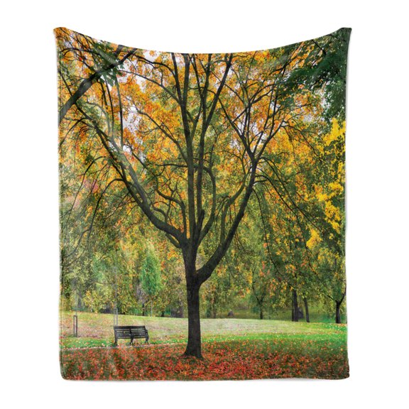 Tree Soft Flannel Fleece Blanket, Third Season of the Year in the Park Dead Leaves Autumn to Winter Seasonal Picture, Cozy Plush for Indoor and Outdoor Use, 60" x 80", Green Yellow, by Ambesonne