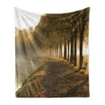 thumbnail image 1 of Tree Soft Flannel Fleece Blanket, Walkway at the Canal in Morning Mist Foggy Blurry Day Relaxing Spot in City Picture, Cozy Plush for Indoor and Outdoor Use, 50" x 70", Orange Brown, by Ambesonne, 1 of 5