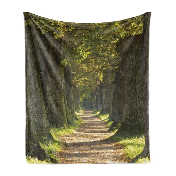 Tree Soft Flannel Fleece Throw Blanket, Alley with Oak Trees Forest Natural Rural Scenic Perspective Picture, Cozy Plush for Indoor and Outdoor Use, 60" x 80", Dark Green Pale Brown, by Ambesonne