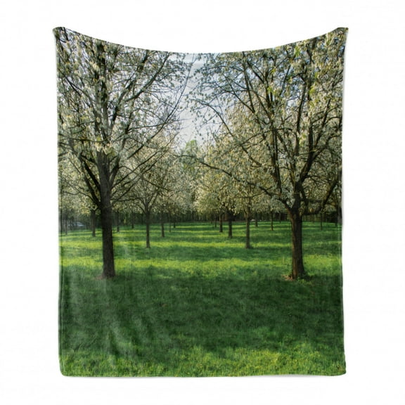 Tree Soft Flannel Fleece Throw Blanket, Cherry Blossoms View in Spring Season, Cozy Plush for Indoor and Outdoor Use, 60" x 80", Lime Green Dark Brown, by Ambesonne