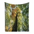 thumbnail image 1 of Tree Soft Flannel Fleece Throw Blanket, Forest in Autumn Green Nature Deciduous Foliage Growth Eco, Cozy Plush for Indoor and Outdoor Use, 60" x 80", Dark Brown Pale Green, by Ambesonne, 1 of 6
