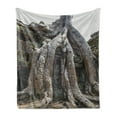 thumbnail image 1 of Tree Soft Flannel Fleece Throw Blanket, Historic Landmark Giant Tree at Angkor Wat Cambodia, Cozy Plush for Indoor and Outdoor Use, 60" x 80", Dimgray Dark Taupe, by Ambesonne, 1 of 5
