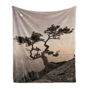 Tree Soft Flannel Fleece Throw Blanket, Lonely Juniper Tree on Seaside Cliff Full Moon at Sunset Nature Theme Artwork Print, Cozy Plush for Indoor and Outdoor Use, 50" x 60", Brown Grey, by Ambesonne
