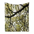 thumbnail image 1 of Tree Soft Flannel Fleece Throw Blanket, Nature Themed Macro Photo of Close up Leafy Branches, Cozy Plush for Indoor and Outdoor Use, 60" x 80", Avocado Green Dark Brown, by Ambesonne, 1 of 6