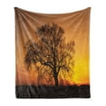 thumbnail image 1 of Tree Soft Flannel Fleece Throw Blanket, Oak in the Sunset Horizon Golden Yellow Sun Rays Countryside Rural Nature Picture, Cozy Plush for Indoor and Outdoor Use, 60" x 80", Orange Brown, by Ambesonne, 1 of 5