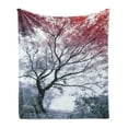 thumbnail image 1 of Tree Soft Flannel Fleece Throw Blanket, Photo with Dramatic Nature Scenery of Abstract Colorful Leafy Tree and Calm Pond, Cozy Plush for Indoor and Outdoor Use, 50" x 70", Multicolor, by Ambesonne, 1 of 6
